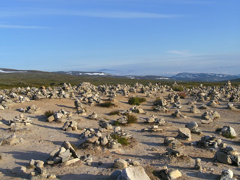 Nordkap 2009 463.jpg